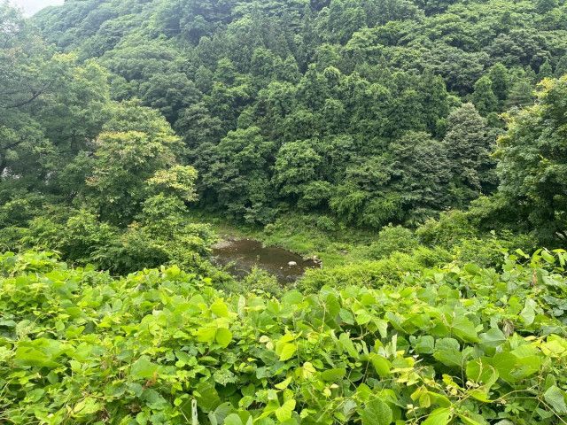 【福島】下郷町でクマに襲われる　30代男性2人が手首や脚かまれる　国交省からの委託で猛禽類の生息調査中